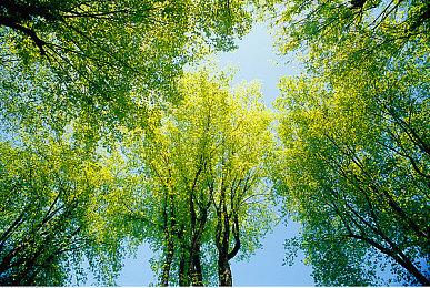 《光环：无限》“士官长先生”DLC现已推出